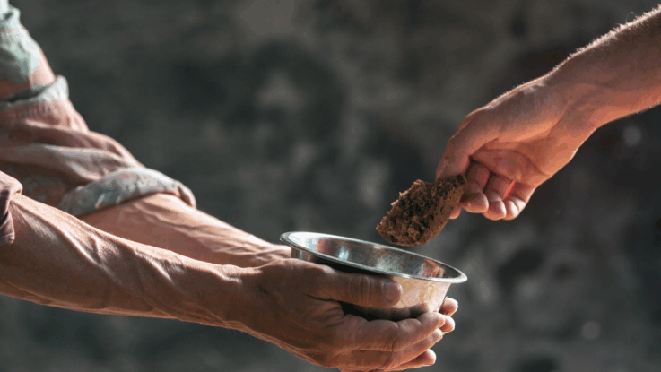 720 millions de personnes - soit 8% de la population mondiale - souffraient encore de sous-alimentation en 2024. Un chiffre dramatique, mais qui marque une inflexion positive après quatre années de détérioration continue liées au Covid-19.