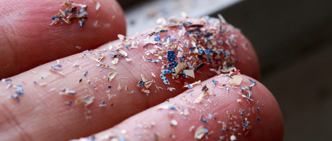 Les microplastiques ont franchi la dernière frontière de notre organisme : le cerveau humain. Cette découverte alarmante soulève des questions cruciales sur l'impact de la pollution plastique sur notre santé neurologique, alors que la production mondiale de plastique s'apprête à tripler d'ici 2060.