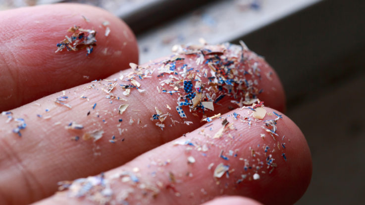 Les microplastiques ont franchi la dernière frontière de notre organisme : le cerveau humain. Cette découverte alarmante soulève des questions cruciales sur l'impact de la pollution plastique sur notre santé neurologique, alors que la production mondiale de plastique s'apprête à tripler d'ici 2060.