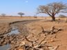 Tandis que l'Afrique brûle sous les effets du changement climatique qu'elle n'a pas causé, les financements pour son adaptation s'amenuisent au profit d'une course aux armements mondiale sans précédent depuis la guerre froide.